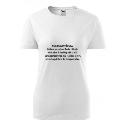 Moje pracovní doba