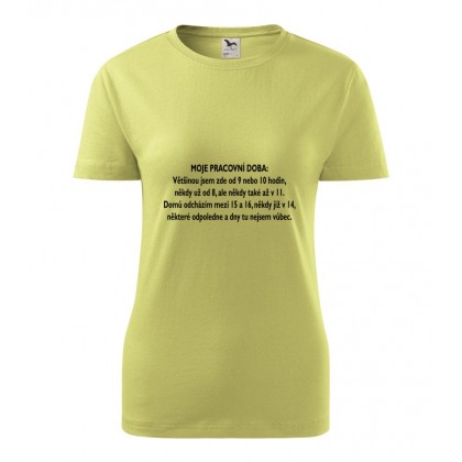 Moje pracovní doba