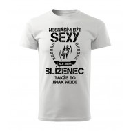 Nesnáším být sexy ale jsem BLÍŽENEC